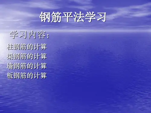 钢筋平法学习(内部资料)