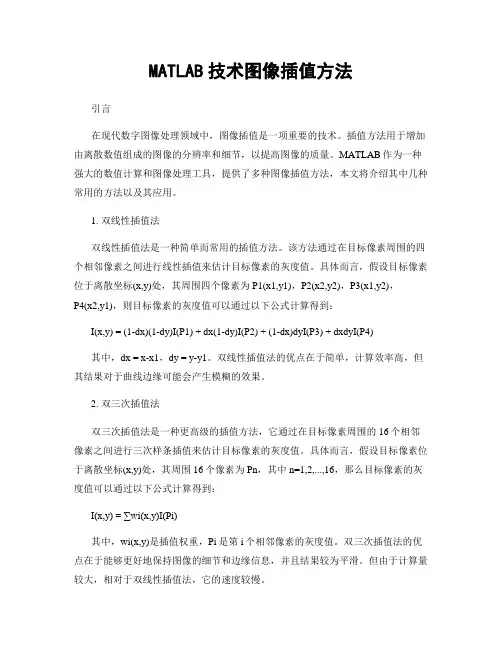 MATLAB技术图像插值方法