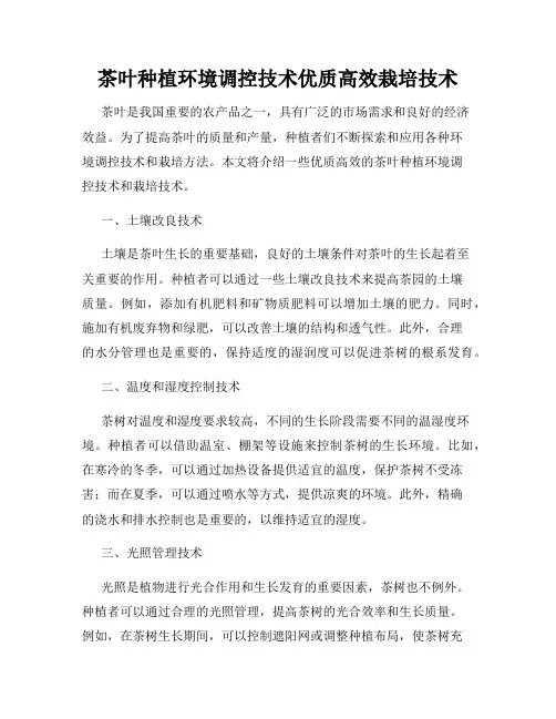 茶叶种植环境调控技术优质高效栽培技术
