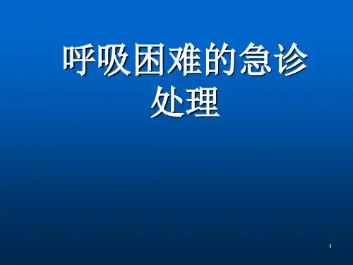 呼吸困难的急诊处理PPT课件