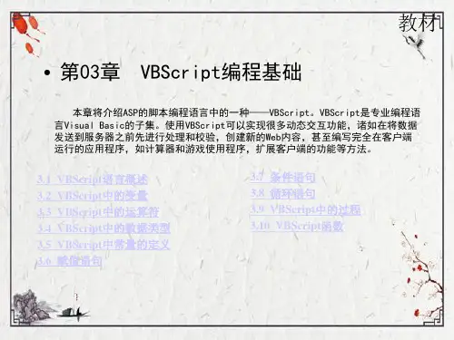 第3章--VBScript编程基础ppt课件(全)