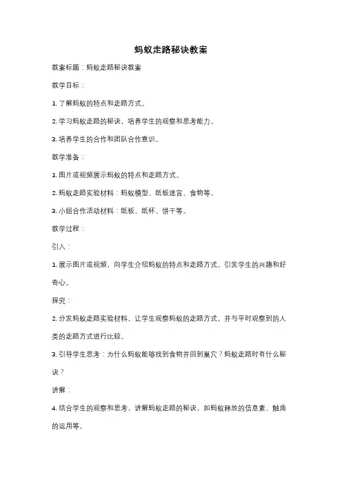 蚂蚁走路秘诀教案