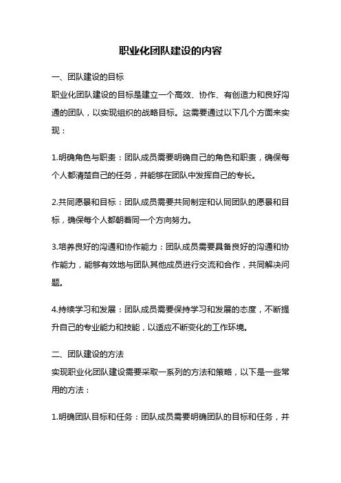 职业化团队建设的内容