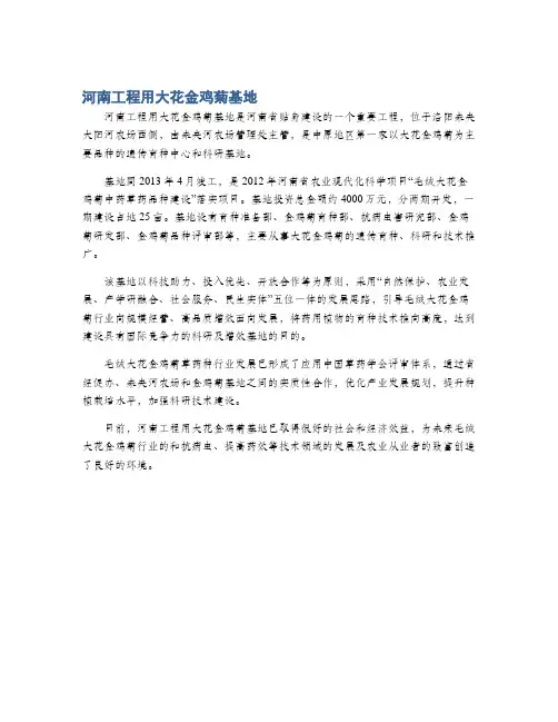 河南工程用大花金鸡菊基地