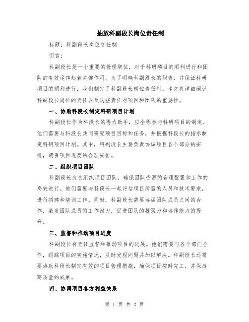 抽放科副段长岗位责任制
