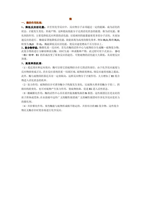酶的作用机理