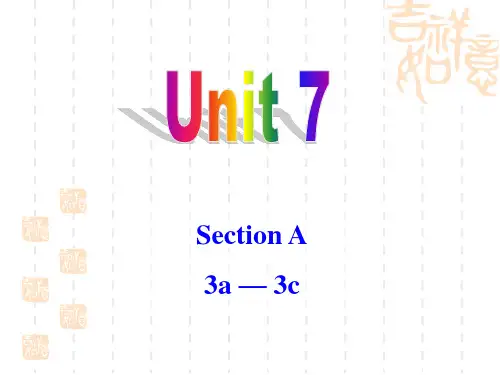九年级英语Unit7 Section A 3a-3c课件(共49张PPT)