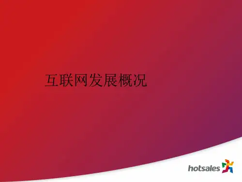 互联网发展概况21页PPT文档