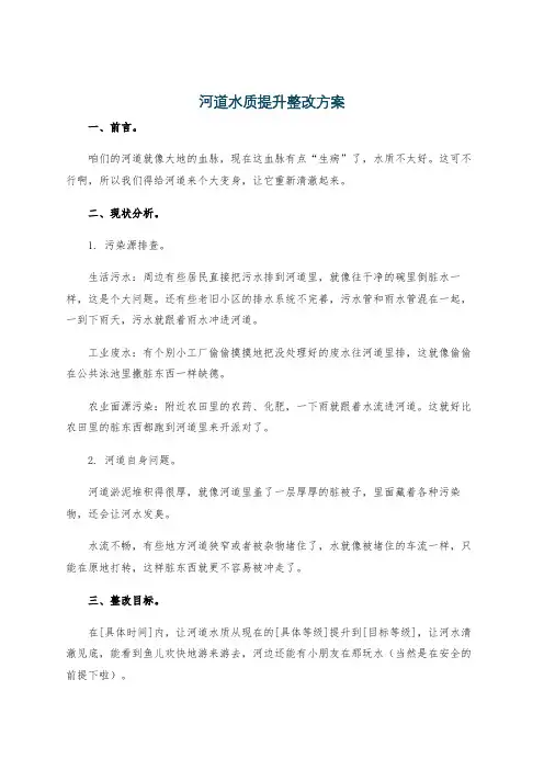 河道水质提升整改方案
