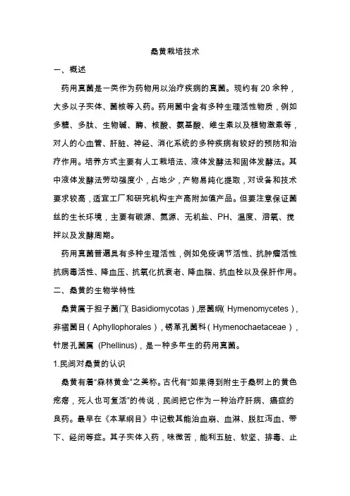 桑黄栽培技术