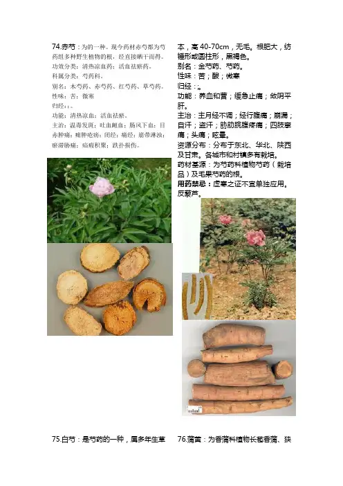 175种常用中药大全(有彩图3)74100