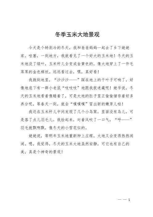 冬季玉米大地景观