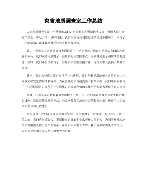 灾害地质调查室工作总结