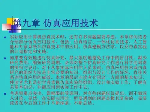 第九章仿真应用技术-PPT精选