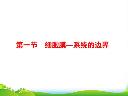 人教版高中生物必修一课件：3.1细胞膜—系统的边界 (共29张PPT)