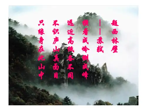 初一三视图-三课时汇总