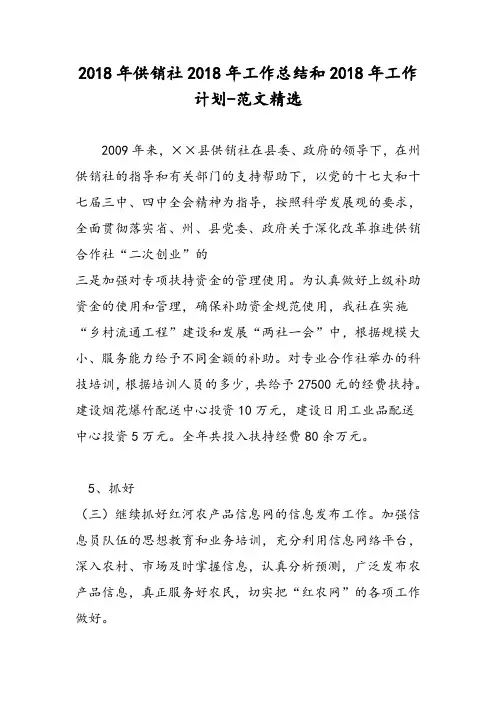 2018年供销社2018年工作总结和2018年工作计划-范文精选