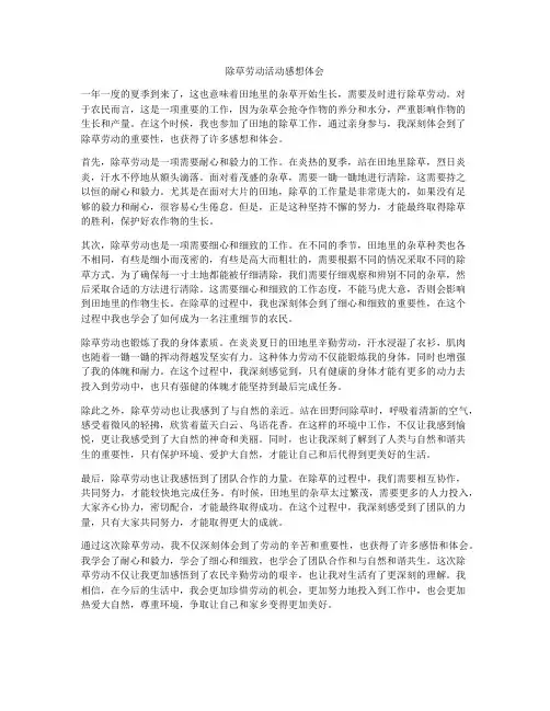 除草劳动活动感想体会
