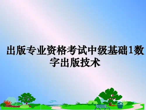 出版专业资格考试中级基础1数字出版技术