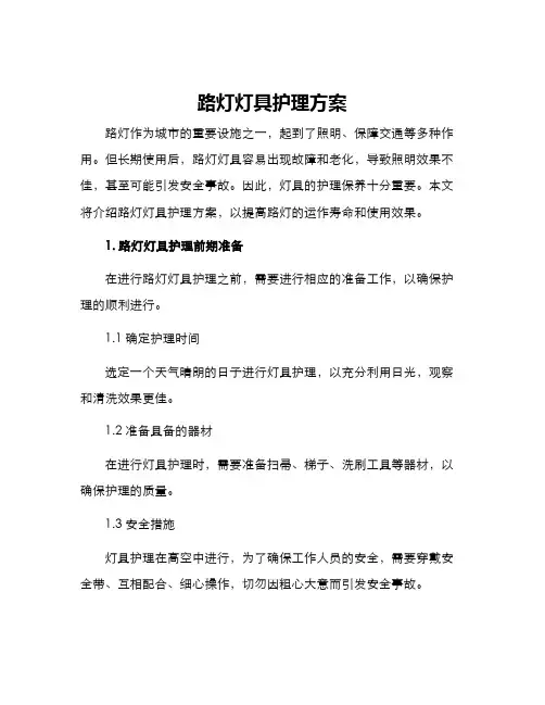 路灯灯具护理方案