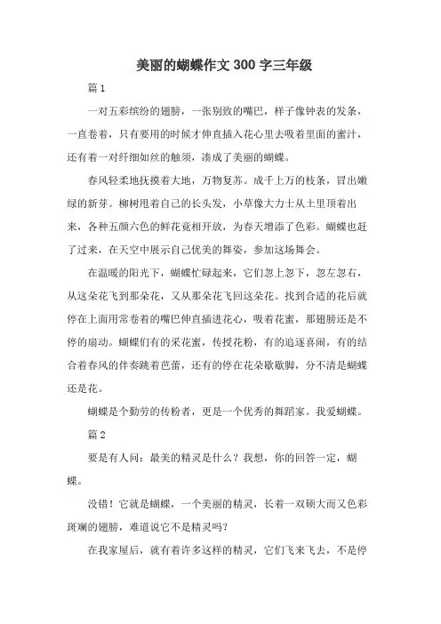 美丽的蝴蝶作文300字三年级