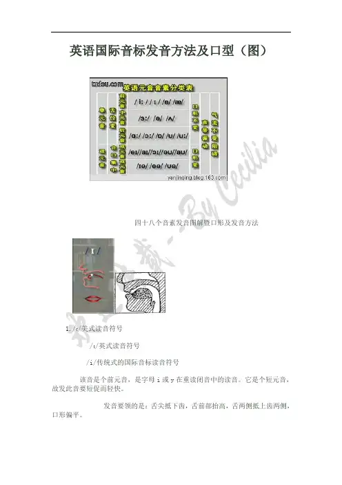 英语国际音标发音方法及口型(图)