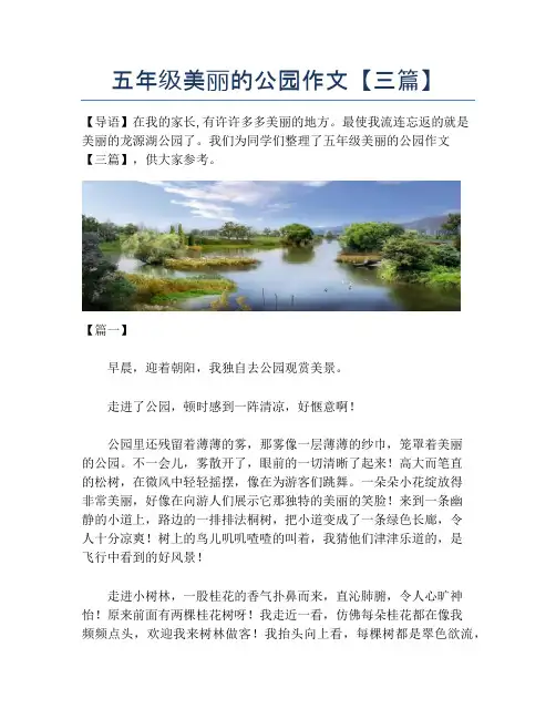 五年级美丽的公园作文【三篇】