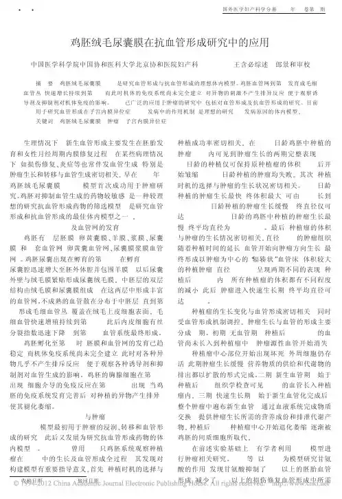鸡胚绒毛尿囊膜在抗血管形成研究中的应用_王含必