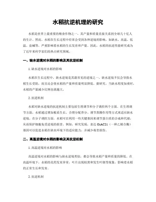 水稻抗逆机理的研究