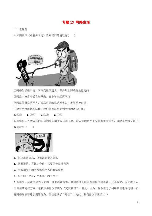 2024年中考道德与法治复习训练专题13网络生活试题含解析新人教版