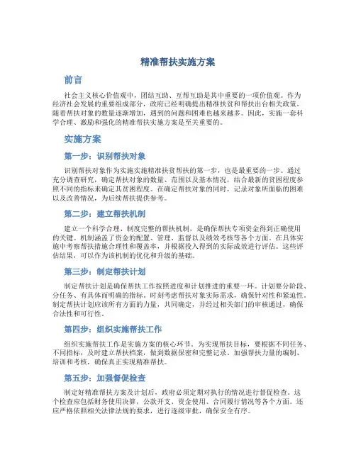 精准帮扶实施方案