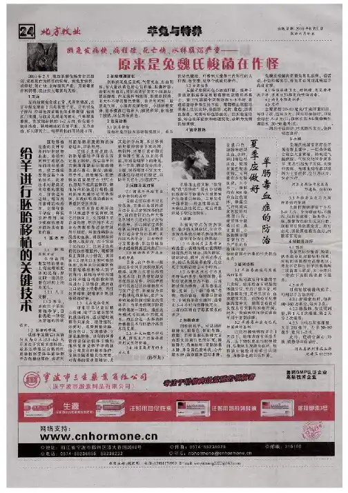 给羊进行胚胎移植的关键技术