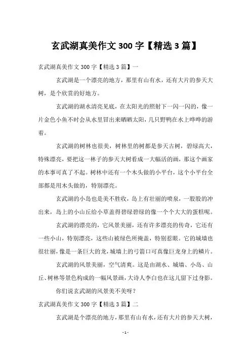 玄武湖真美作文300字【3篇】