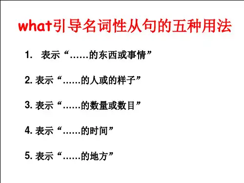 what的用法