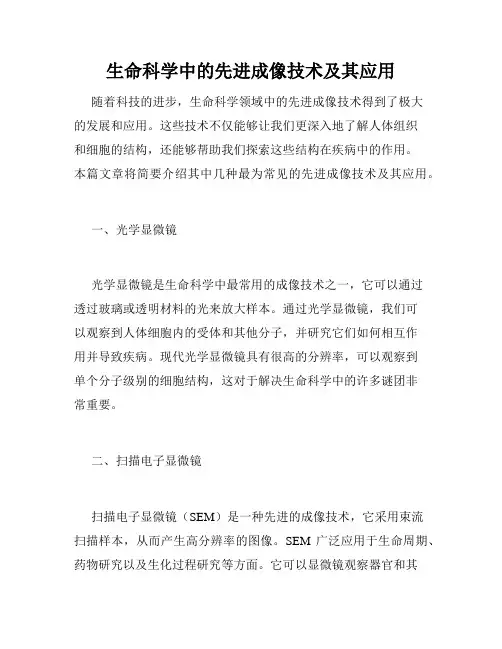 生命科学中的先进成像技术及其应用