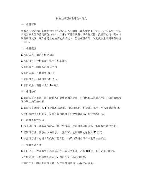 种植业油茶创业计划书范文