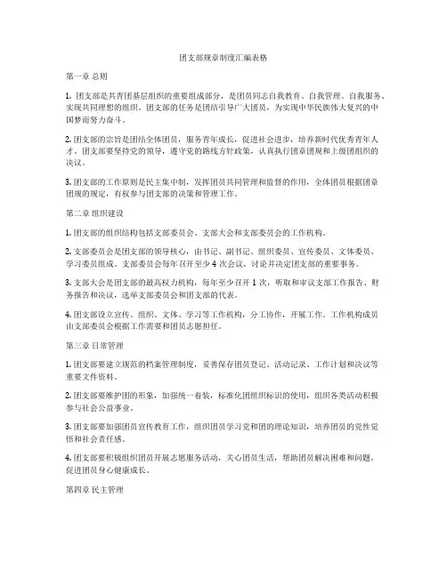 团支部规章制度汇编表格