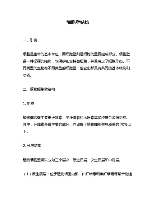 细胞壁结构