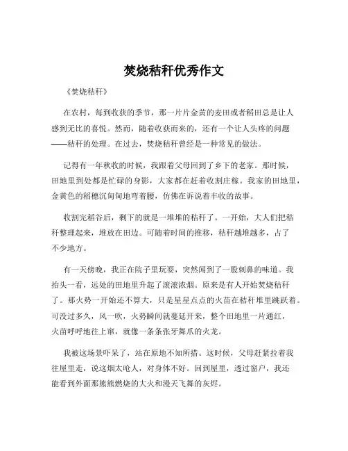 焚烧秸秆优秀作文