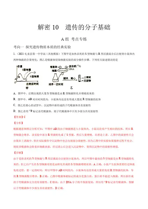 高中生物高考解密10 遗传的分子基础(分层训练)(解析版)