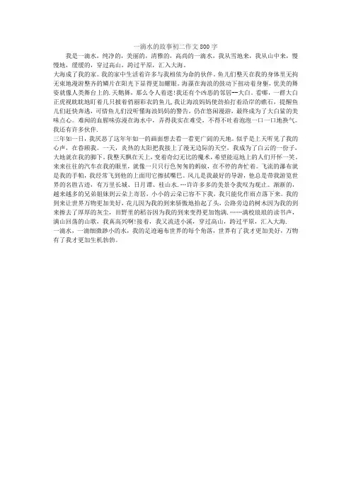 一滴水的故事初二作文800字