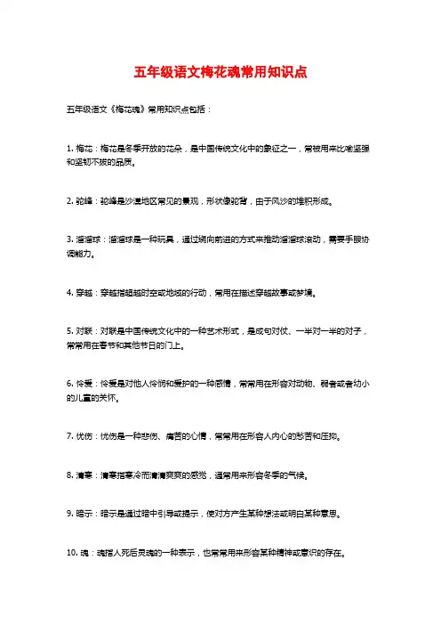 五年级语文梅花魂常用知识点