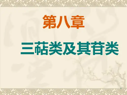 三萜类及其苷类