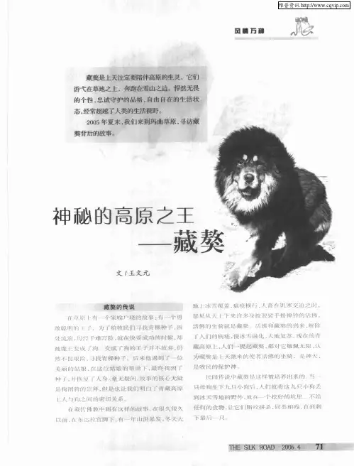 神秘的高原之王——藏獒