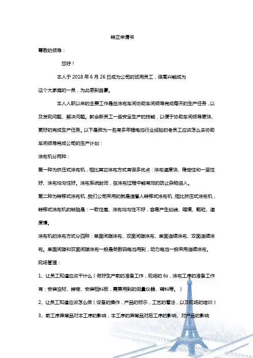 转正申请实例