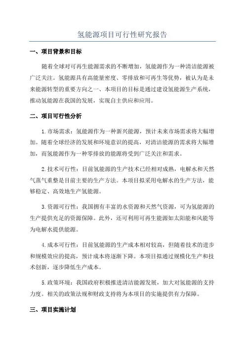 氢能源项目可行性研究报告