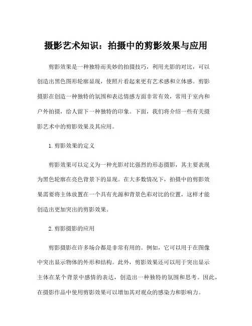 摄影艺术知识：拍摄中的剪影效果与应用