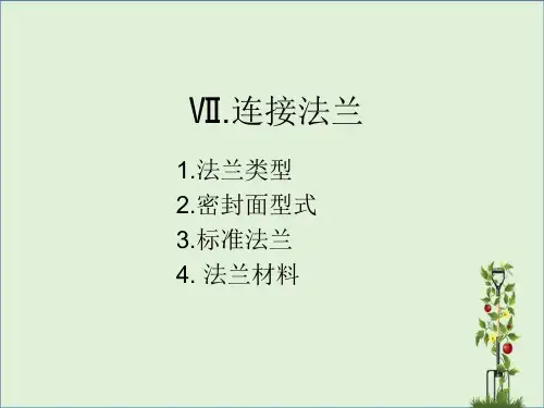 Ⅴ、连接法兰