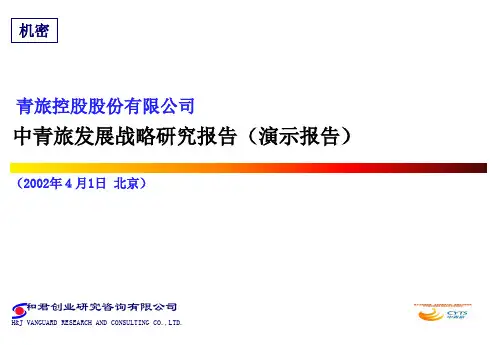 某公司发展战略研究报告(ppt 146页)3