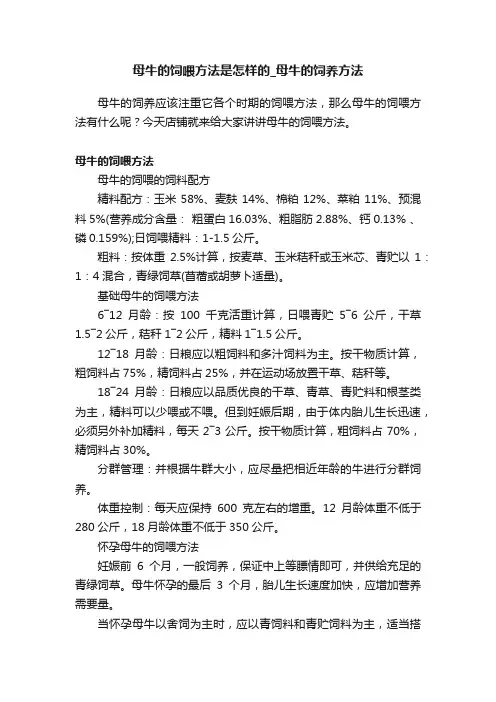 母牛的饲喂方法是怎样的_母牛的饲养方法